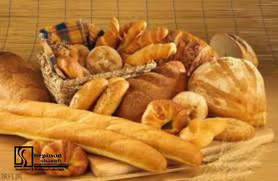 Technical, Financial Feasibility Study and Planning Justification Report of Establishing production Unit of Industrial Bakery